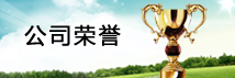 榮譽(yù)獎(jiǎng)杯